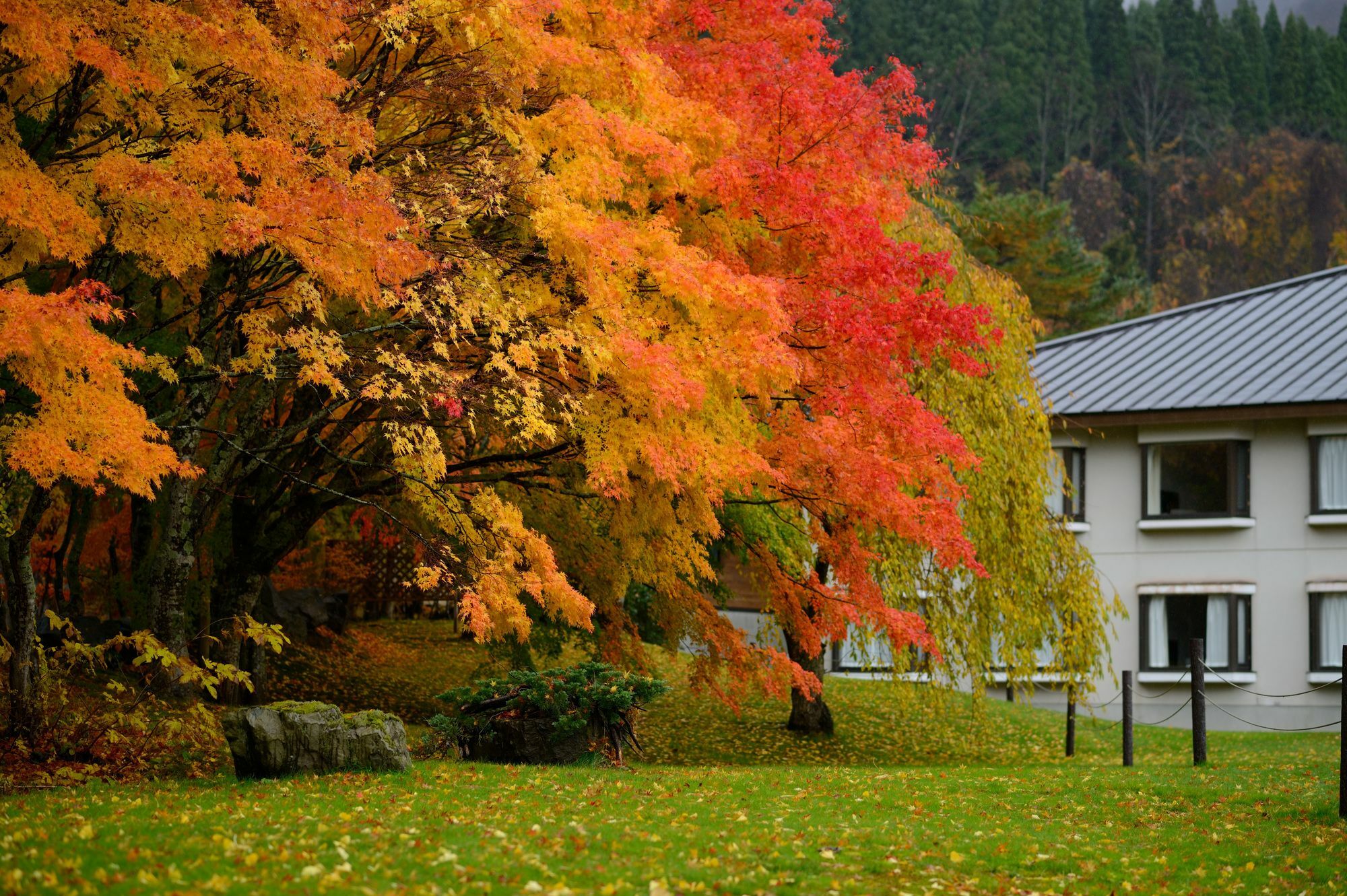 Towada Prince Hotel Kosaka Dış mekan fotoğraf